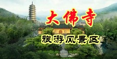 骚逼淫水多视频中国浙江-新昌大佛寺旅游风景区